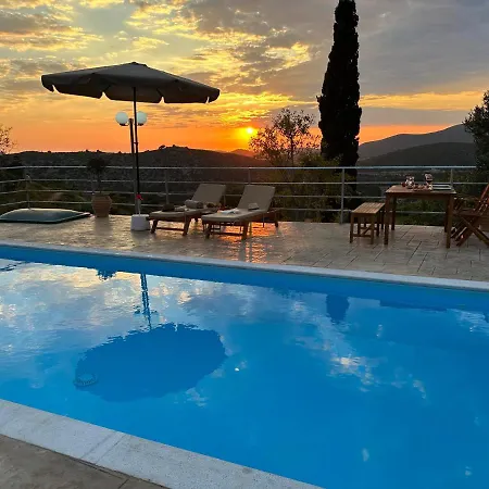 Kaktos * Kardhakáta